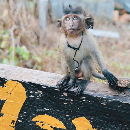 Monkey Bungalow Ko Lanta Buitenkant foto