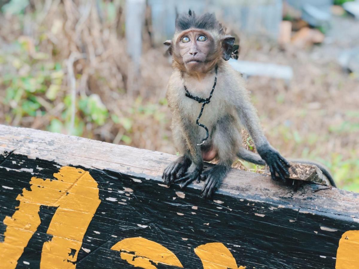 Monkey Bungalow Ko Lanta Buitenkant foto
