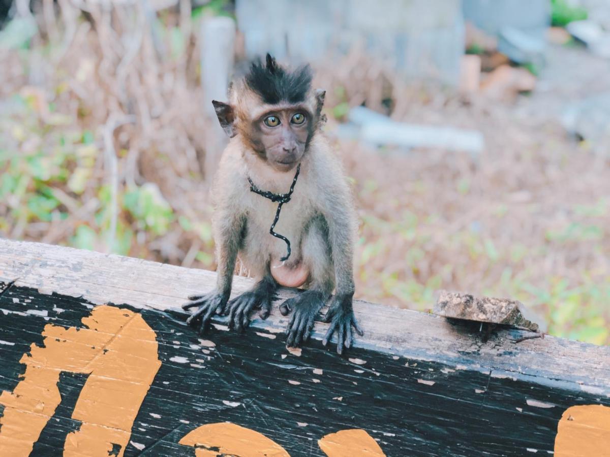 Monkey Bungalow Ko Lanta Buitenkant foto